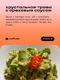 Иллюстрация 8