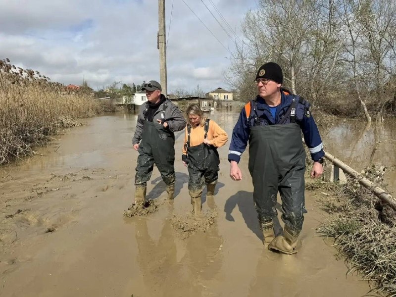 Иллюстрация 2