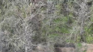 Уничтожение живой силы ВСУ операторами БПЛА в Днепропетровской области