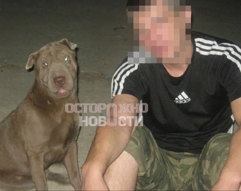 Семья мобилизованного в Волгограде обвиняет новую жену в краже выплат и мошенничестве