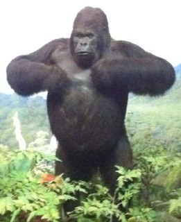 Иллюстрация 2