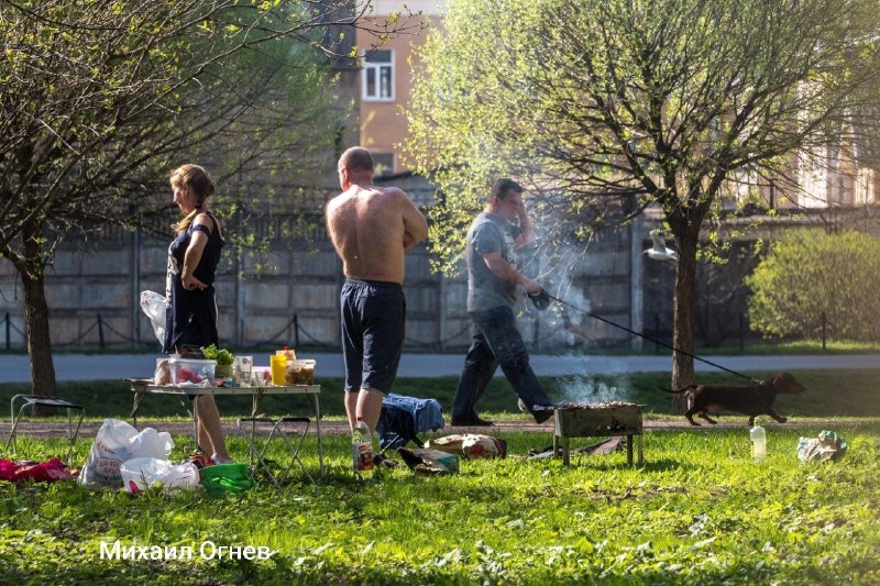 В Петербурге запретили жарить шашлыки в городе