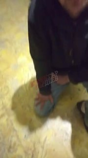 Иллюстрация 2