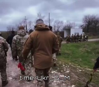 Иллюстрация 1