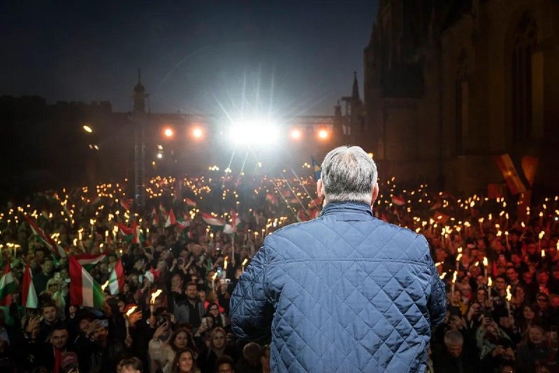 Иллюстрация 4