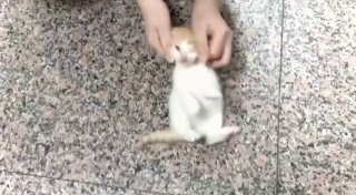 Мир Михаила Онуфриенко: параллельные реальности