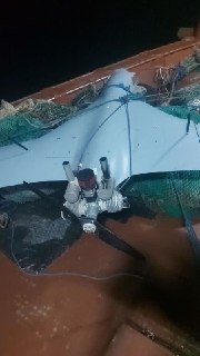 Иллюстрация 1