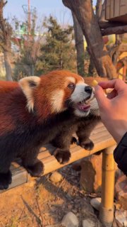 Иллюстрация 1