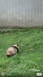 Иллюстрация 2