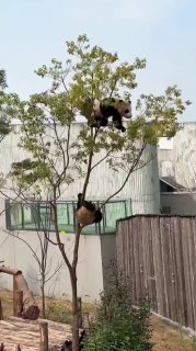 Иллюстрация 3