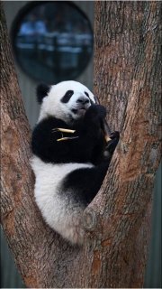 Иллюстрация 4