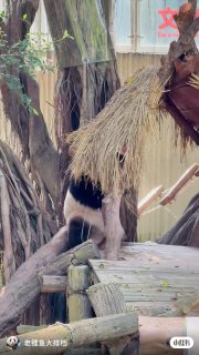 Иллюстрация 5