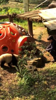 Иллюстрация 6