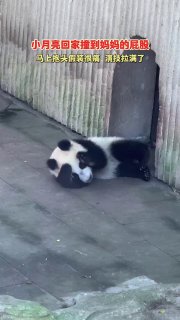 Иллюстрация 7