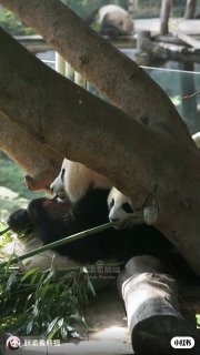 Иллюстрация 8