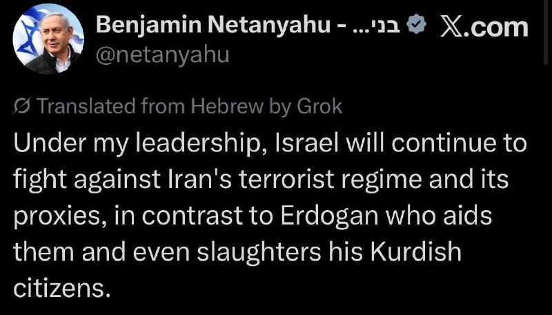 Нетаньяху обрушился с критикой на Эрдогана после обвинений Турции в связи с флотилией в Газу