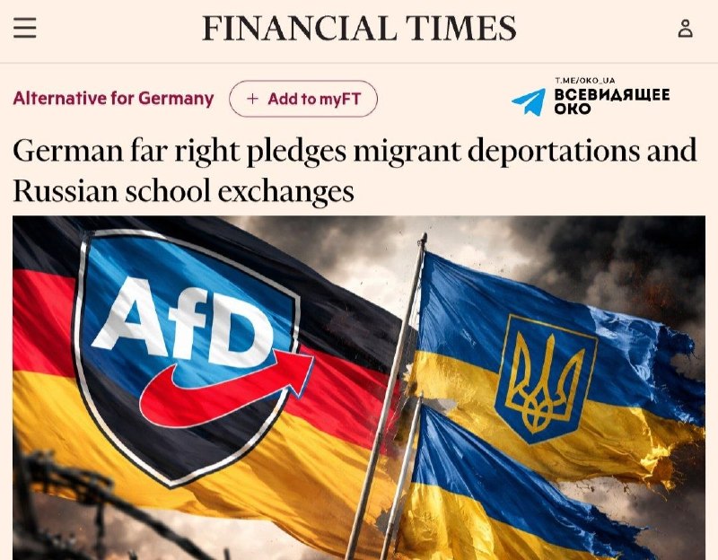 Партия АдГ в Германии предлагает ужесточить правила для украинских беженцев