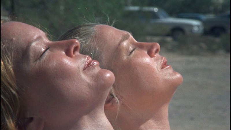 Иллюстрация 7