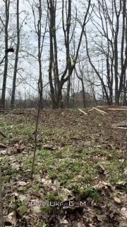 Иллюстрация 2