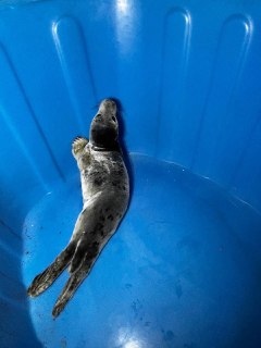 Иллюстрация 2