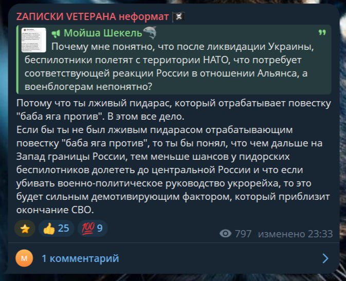 Критика «партии похабного мира» и анализ причин затягивания конфликта с Украиной