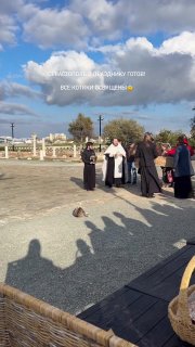 Батюшка освятил кота на пасхальной службе