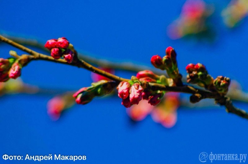 Иллюстрация 3