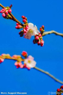 Иллюстрация 4