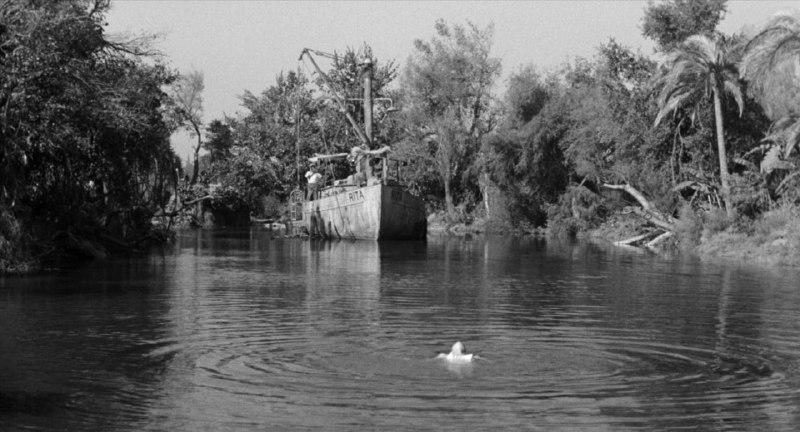 «Тварь из Чёрной Лагуны», 1954