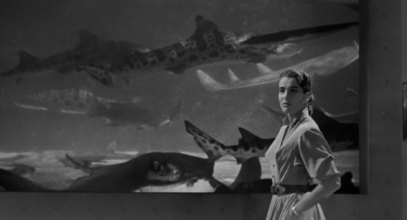 Иллюстрация 8