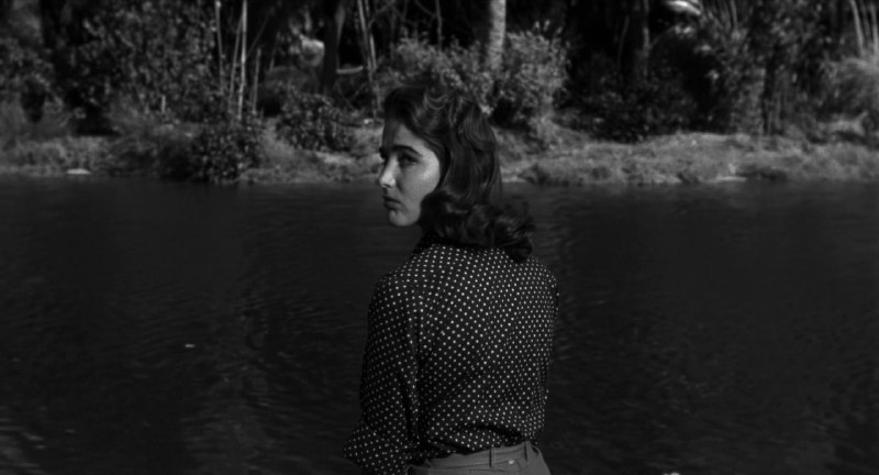 Иллюстрация 10