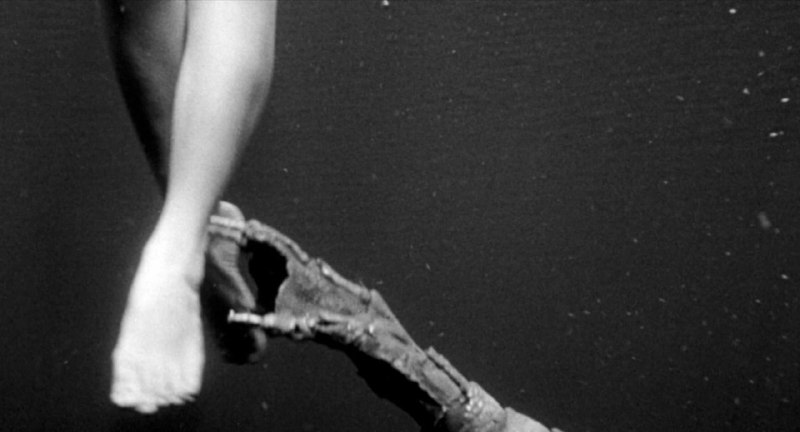 Иллюстрация 3