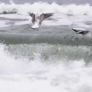 Иллюстрация 1