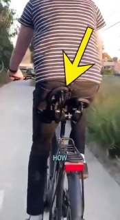 Энтузиасты переизобрели сидушку для велосипеда