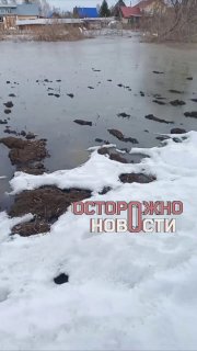 Иллюстрация 2