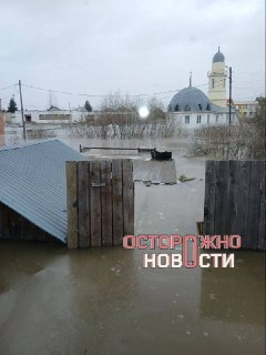 Иллюстрация 4