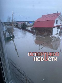 Иллюстрация 6