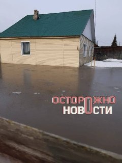 Иллюстрация 7