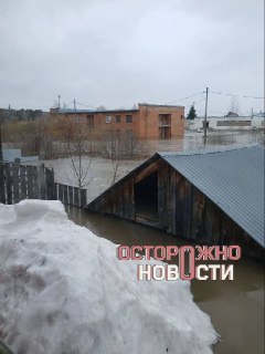 Иллюстрация 8