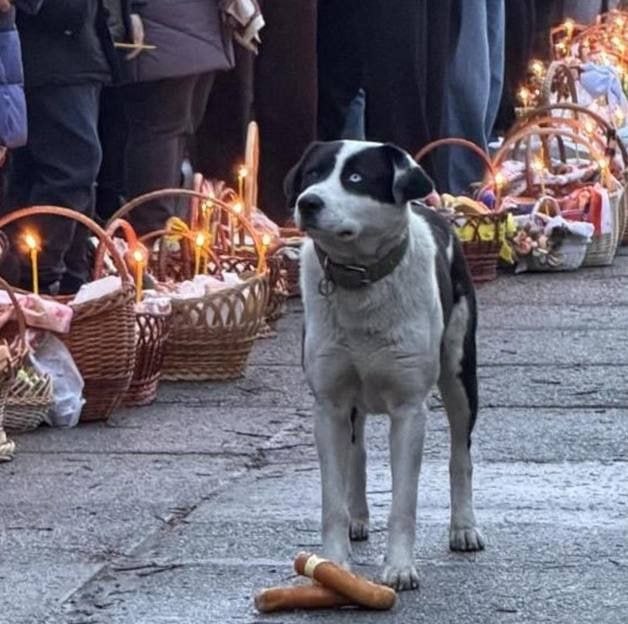 Иллюстрация 5