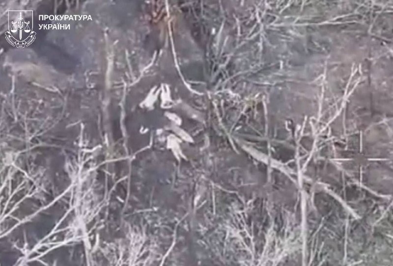 Иллюстрация 2