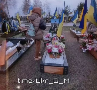 Украина 2026: кладбища — единственный растущий сектор экономики