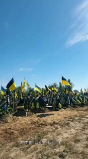 Иллюстрация 4