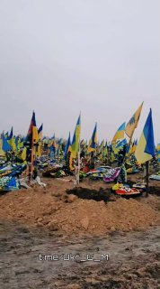 Иллюстрация 1