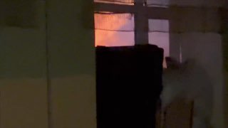 ПВО сбило 7 из 8 ракет «Точка-У» в Изюме: одна попала во двор