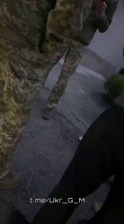 Сатирический комментарий о мобилизации в Украине