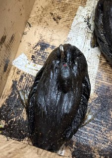 Иллюстрация 3