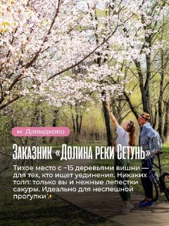 Иллюстрация 4