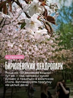 Иллюстрация 5