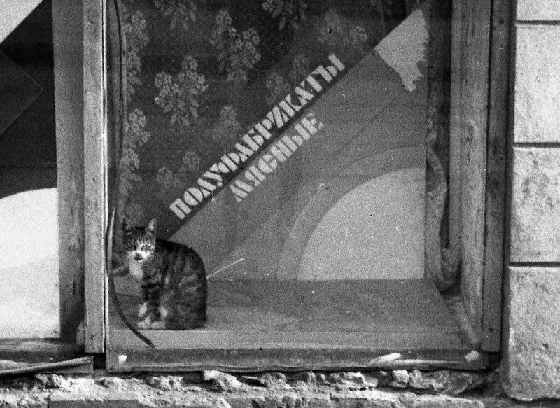 Иллюстрация 2